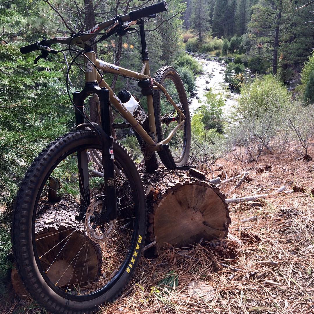 Something about Fall, something about this bike