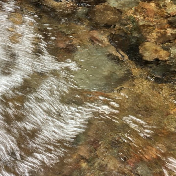 Cool, clear water deep in a long forgotten canyon