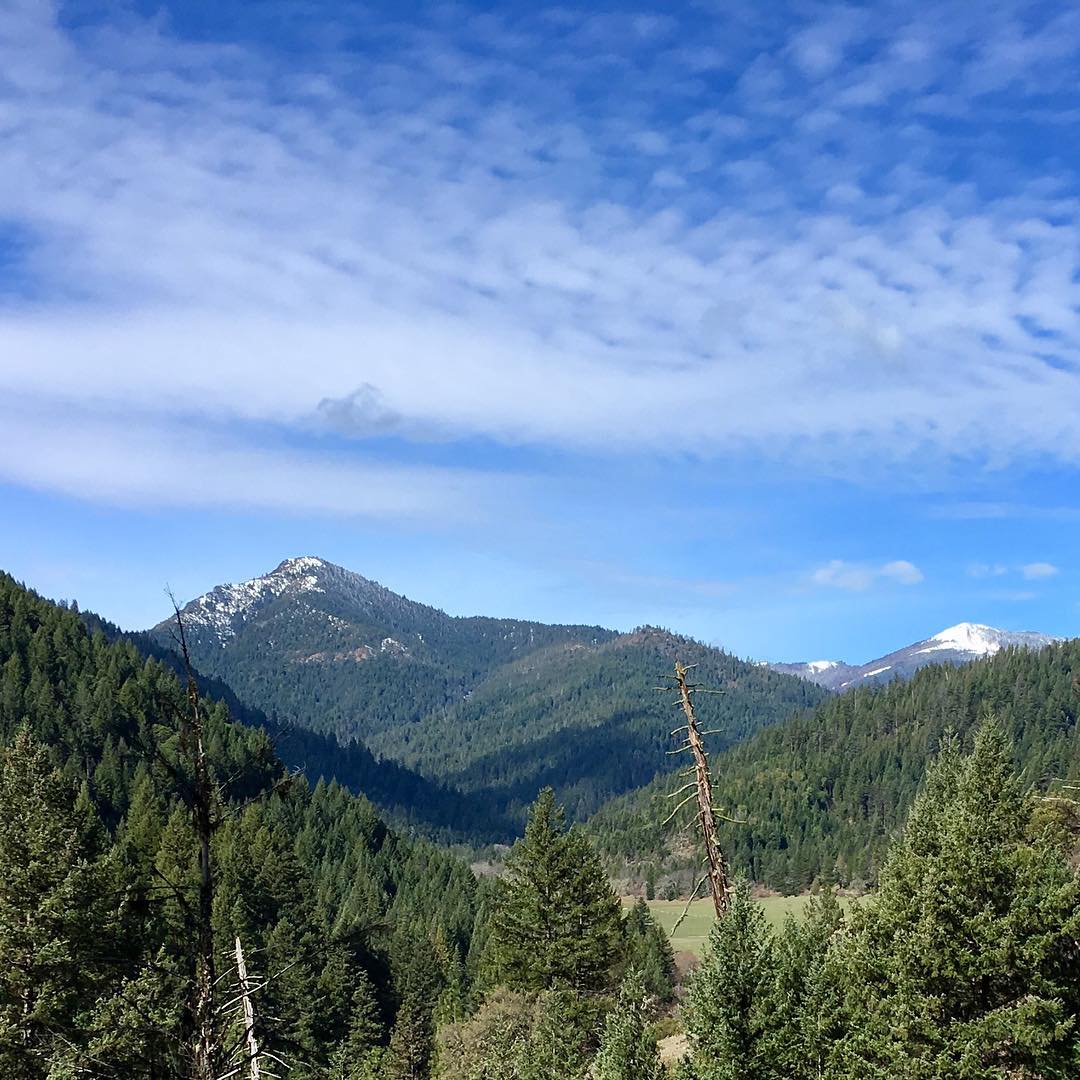 Rare view in the heavily timbered Northern Siskiyou