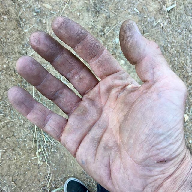 Whether typing code or getting dirty, I’ve made a living with my hands. Good they’re big