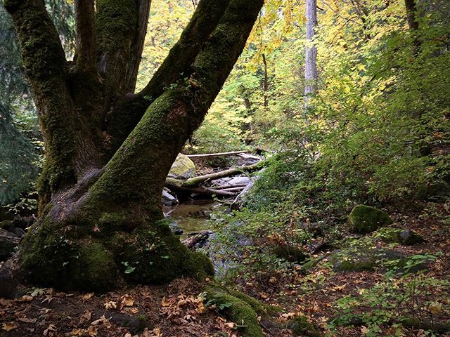 This place feels mystical and not just because it’s so doggone hard to get to