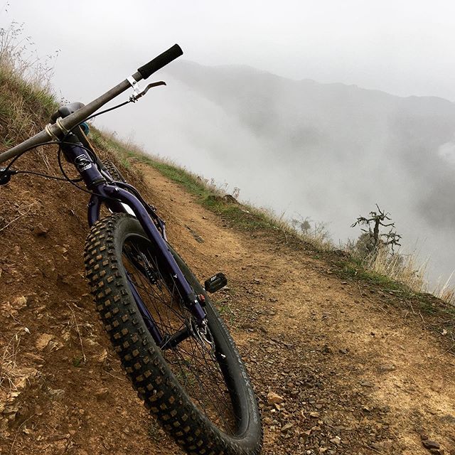 Sought and took opportunity to leave the comfort of the trail for the mystery of a skid road straight down into the shrouded abyss