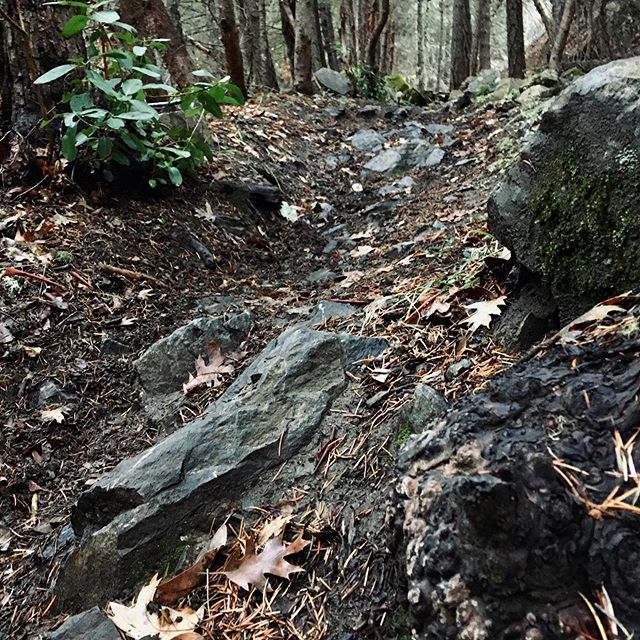 This dark trail has an even darker history. About a quarter century ago, two rotting corpses were found alongside the trail—victims of an apparent murder suicide. Even without the backstory the place is spooky. 
You’ll find me there in the dusky hours building new features, restoring old ones, fixing drainage issues, and just being generally ghoulish.