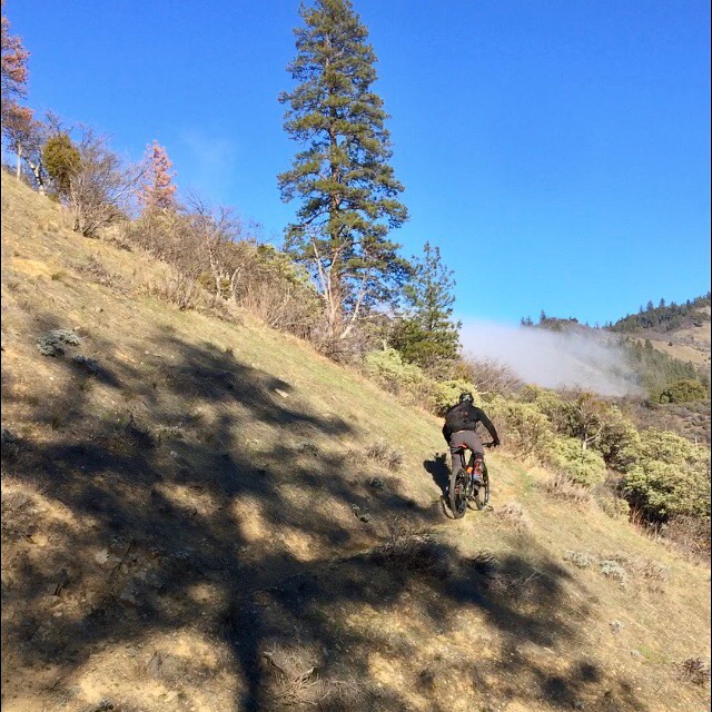 Two years ago I discovered some steep, ancient, forlorn trails. Difficult to access, the area contains pristine forest and few visitors. I fell in love with the place and threw myself at the long-term project of clearing a loop. I’ve made several trips out there working on the upper and middle reaches. Yesterday was the first time I brought a friend and made a go on bikes. 
The route starts with a sharp decent off of a high, wooded ridge and continuing down a secluded canyon of old growth forest. The trail passes springs which form the creek and it’s many small pools. 
Beyond the work zone, quite a few trees are down and the adventure begins. The lower trailheads are on private property which currently don’t allow access. Sooo… there’s an old connector trail on public land. But it’s overgrown with buck brush and poison oak and the whole darn ride is crawling with deer ticks. 
Soon it connects with a better trail that climbs back toward the top. Thanks to some unknown trail workers, most of the trail had recently been cleared of buck brush and rideable. 
Once back on the upper ridge system, we got to ride a section we had worked on a few weeks prior that was previously unrideable. 
The loop closes with a bit more climbing and short loamy descent to the start trail. If you accessed the loop start as we did by climbing a singletrack up the other side of the mountain, there’s still have a four mile downhill to the trailhead. 
It was light enough to see but getting dark quick as we began the last bit of trail down to the truck. Honestly though we couldn’t see shit, especially when we hit the fog layer. We exited at the tail of twilight which seems about perfect. 
The first few pictures are from the ride followed by a few of the process.