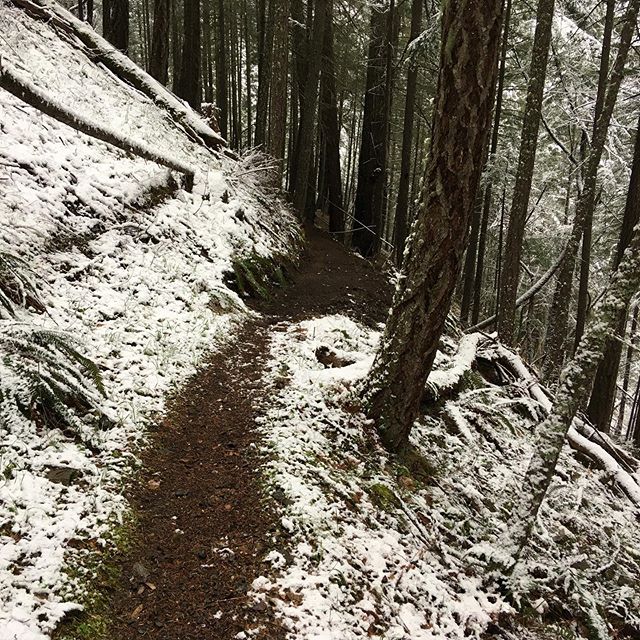 Whether ’tis nobler in the mind to suffer
The slings and arrows of leaf berms, 
Or to take arms in building solid edges, 
And by action pin them! To die: to sleep; &wildcat_jones and I got after some  real work today on a multiuse trail that anyone can enjoy