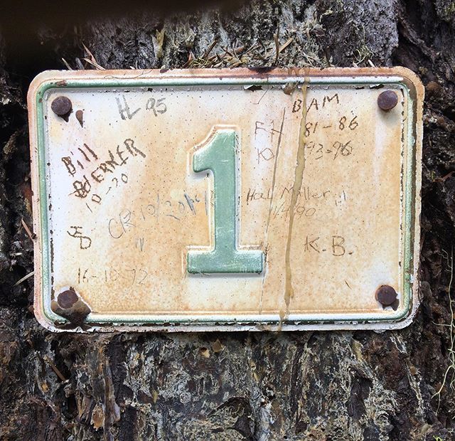 By way of graffiti, we know this mile marker has been nailed to this tree since at least 1970. But the trail that it marks is much older. We also know that Hal Miller was a local forester and in 1990 he scratched his mark. And because we know that similar traditions were common in ‘the outfit’ we might infer that these signatures were left by Forest Service workers over the years.